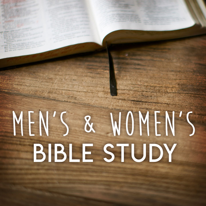 Men and Womens Study